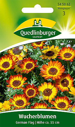 Wucherblumen