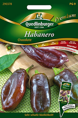 Habanero, Chocolate