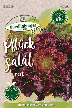 Pfl&uuml;cksalat rot