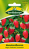 rankenlose Monatserdbeeren