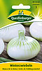 Winterzwiebeln Blanca de la Reina