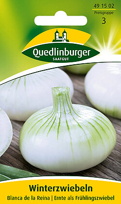 Winterzwiebeln Blanca de la Reina Winterzwiebeln Blanca de la Reina