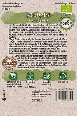 Pfl&uuml;cksalat rot