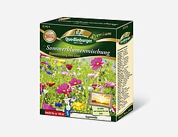 Sommerblumenmischung ohne Gräser Sommerblumenmischung ohne Gräser