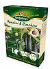Anzucht-Set Rondini & Zucchini