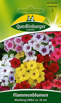 Flammenblumen