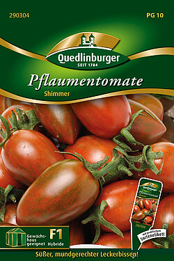 Pflaumentomate Shimmer