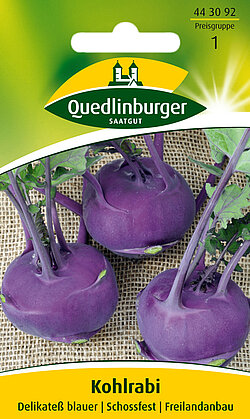 Kohlrabi Delikate&szlig; blauer