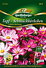 Topf - Schmuckk&ouml;rbchen