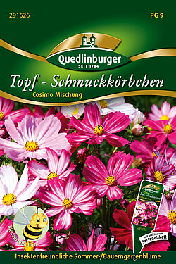 Topf - Schmuckk&ouml;rbchen