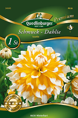 schmuck-dahlie-seattle-34045