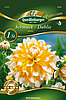 schmuck-dahlie-seattle-34045