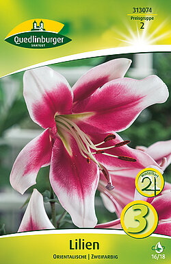 lilien-orientalische-zweifarbig-313074