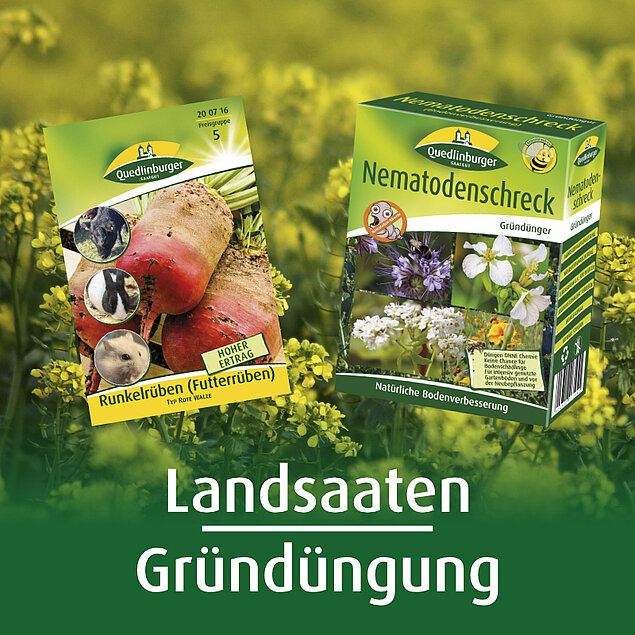 Landsaaten / Gr&uuml;nd&uuml;ngung