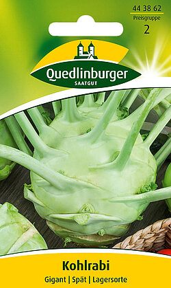 Kohlrabi Gigant