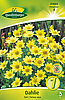 dahlie-topf-topmix-gelb-314068