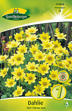 dahlie-topf-topmix-gelb-314068