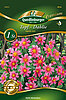 topf-dahlie-topmix-rosa-34055