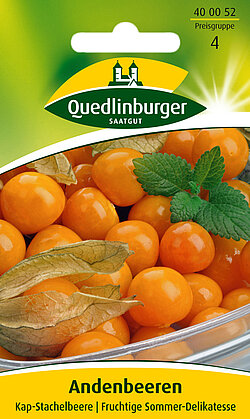 Kap-Stachelbeeren oder Anderbeeren