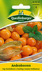 Kap-Stachelbeeren oder Anderbeeren