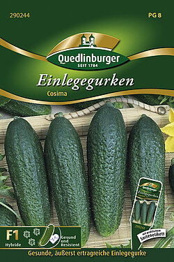 Einlegegurken Cosima