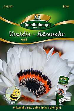 Venidie - B&auml;renohr weiss