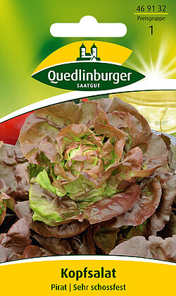 Kopfsalat Pirat