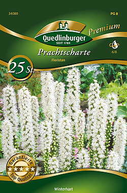 prachtscharte-floristan-34080