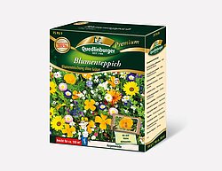 Blumenteppich Augenweide