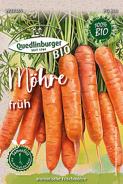 M&ouml;hre fr&uuml;h