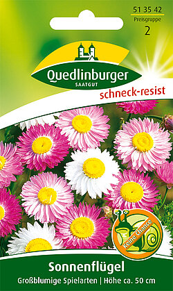 Sonnenflügel Sonnenflügel