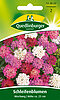 Schleifenblumen