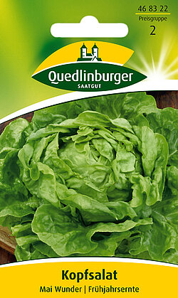 Kopfsalat Mai Wunder