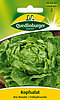 Kopfsalat Mai Wunder