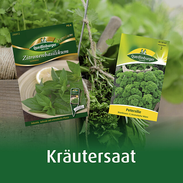 Kr&auml;utersaat