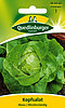 Kopfsalat Mona