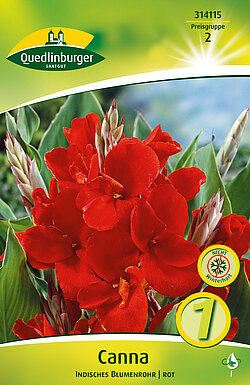 canna-indisches-blumenrohr-rot-314115