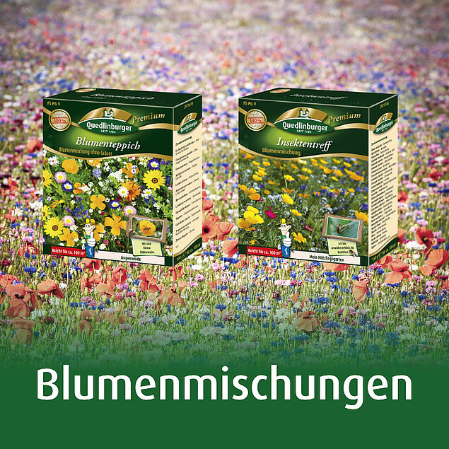 Blumenmischungen