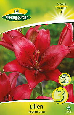 lilien-asiatische-lilien-313060