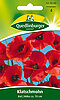 Klatschmohn
