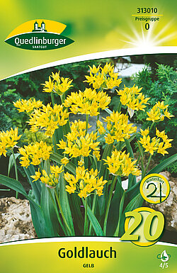 goldlauch-gelb-313010