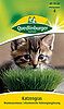 Katzengras Wiesenlieschgras