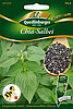 Chia-Salbei