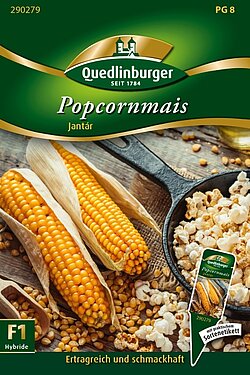Popcornmais 290279