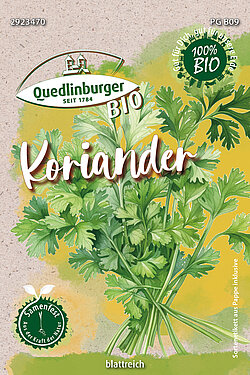 Koriander