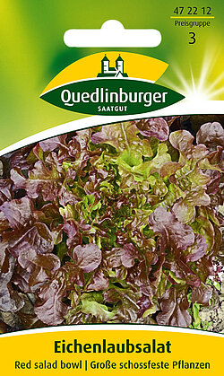 Eichenlaubsalat Red salad bowl