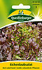 Eichenlaubsalat Red salad bowl