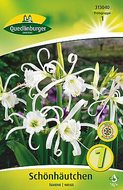 schoenhaeutchen-ismene-weiss-313040