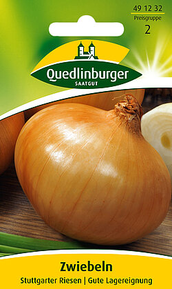 Zwiebeln Stuttgarter Riesen Zwiebeln Stuttgarter Riesen