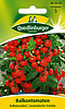Balkontomaten Balkonzauber